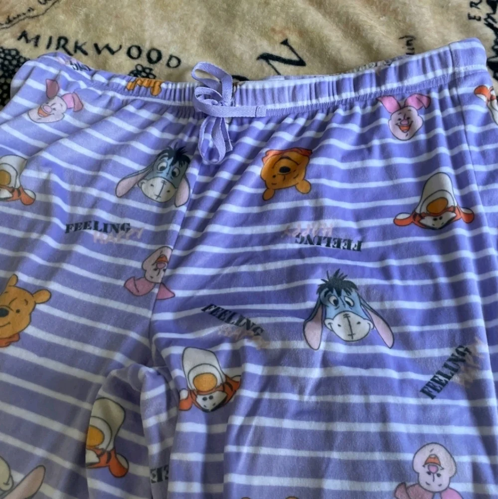 Disney Winnie The Pooh Size Large Purple Striped Pajama Pants Very Soft - Picture 4 of 11
